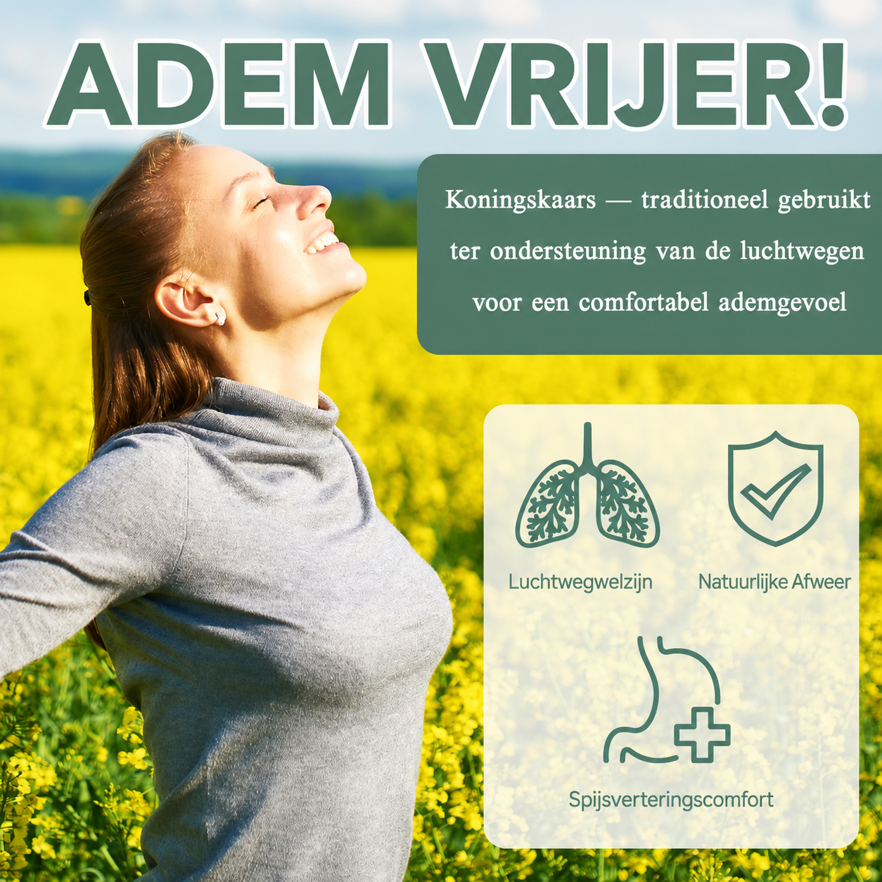 Mullein Gummies — Ondersteun Je Longen Van Binnenuit