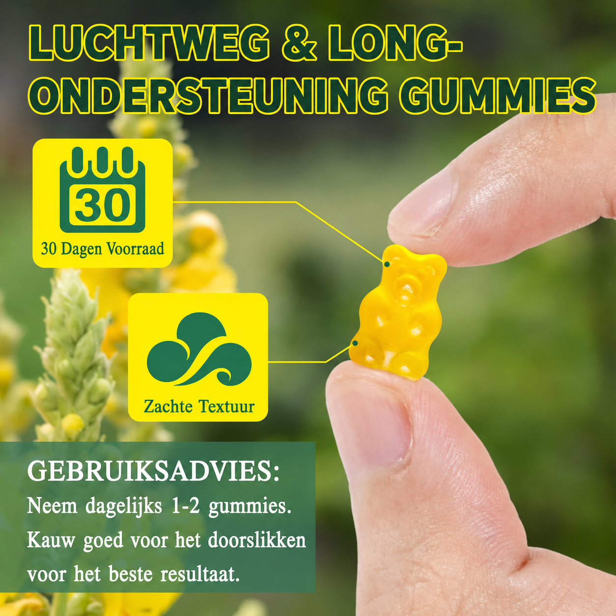 Mullein Gummies — Ondersteun Je Longen Van Binnenuit