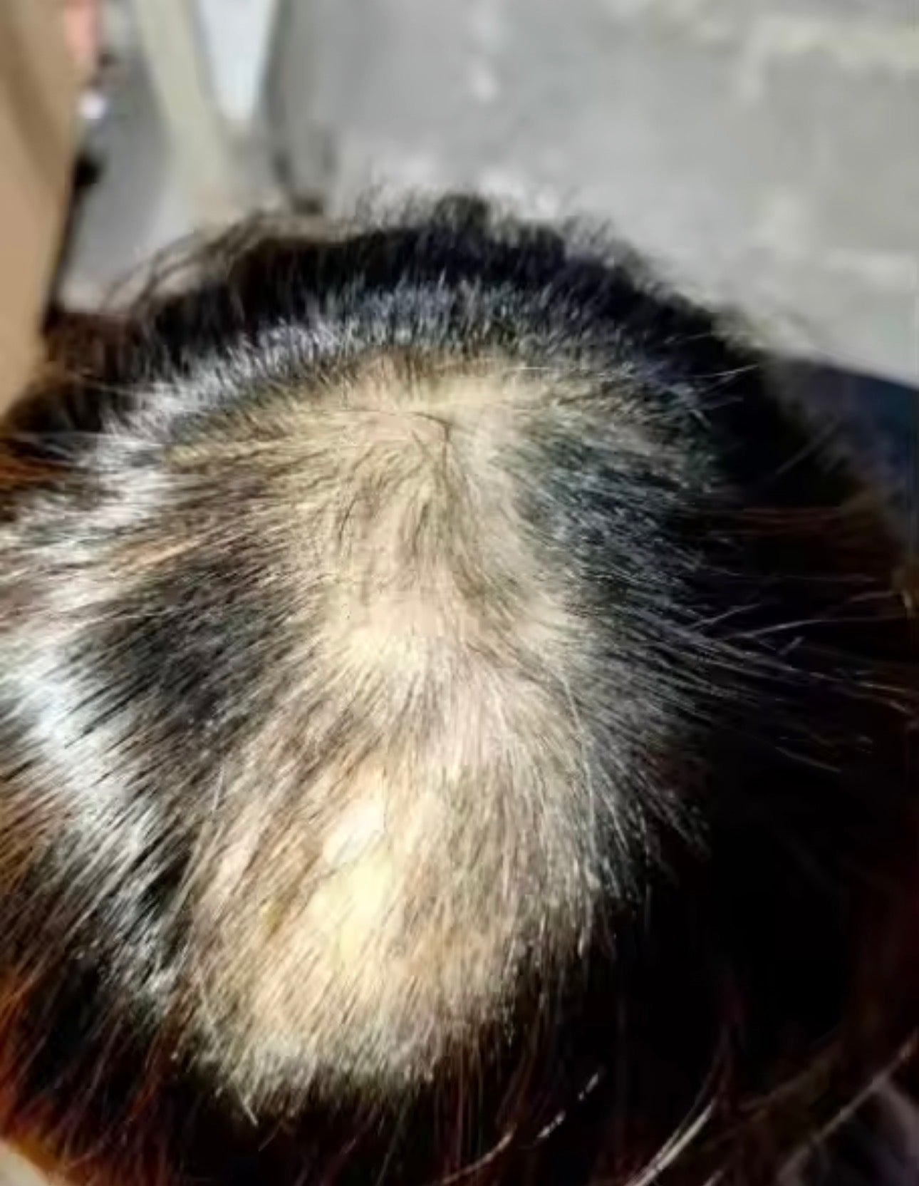 Magic Haar Concealer 2.0 Water- & zweetbestendig💧